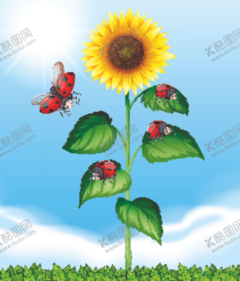 编号：70132910122110474210【酷图网】源文件下载-向日葵背景