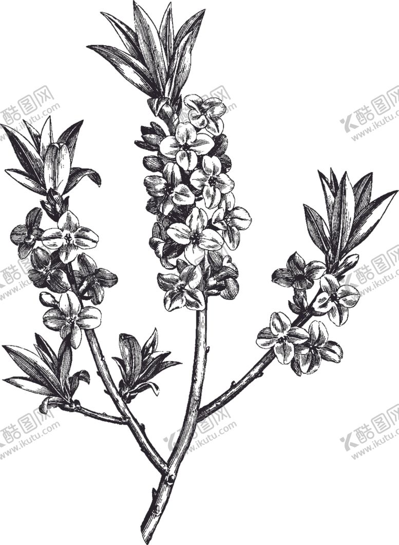 编号：61657410230620258228【酷图网】源文件下载-Ai矢量中草药素材