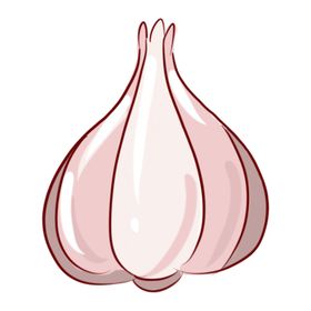 大蒜手绘