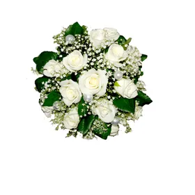 玫瑰花素材绿叶植物瓣