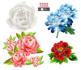 牡丹花边框