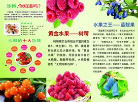 蓝靛果三折页