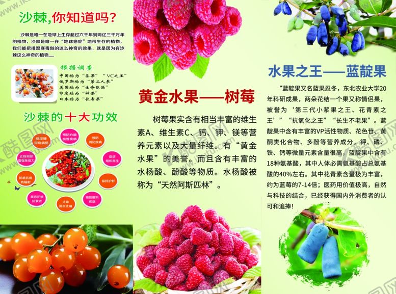 编号：74396206162001125331【酷图网】源文件下载-蓝靛果三折页