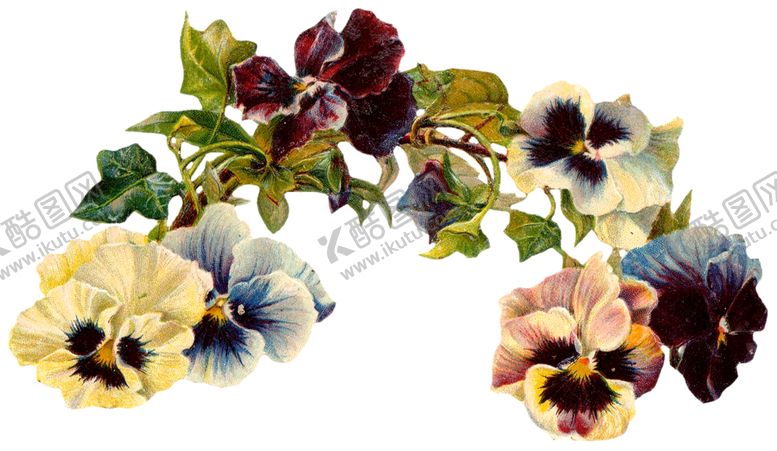 编号：57380309241850022058【酷图网】源文件下载-欧式古典花朵装饰