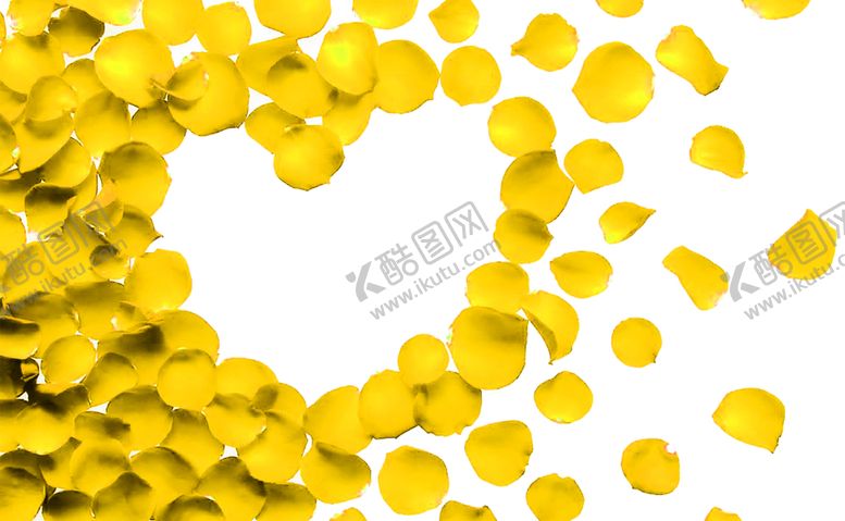 编号：72246709231111129021【酷图网】源文件下载-花素材