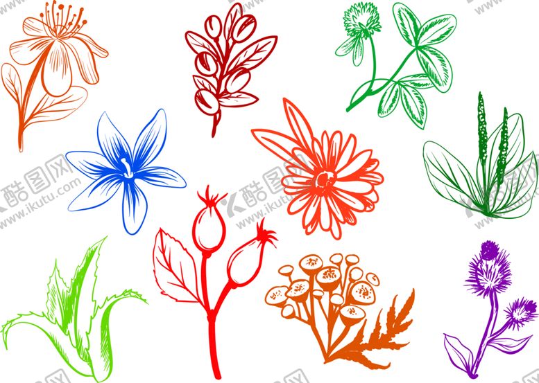 编号：90081509250255342825【酷图网】源文件下载-花素材