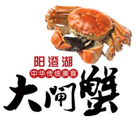 阳澄湖蟹素材