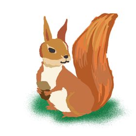 手绘卡通松鼠