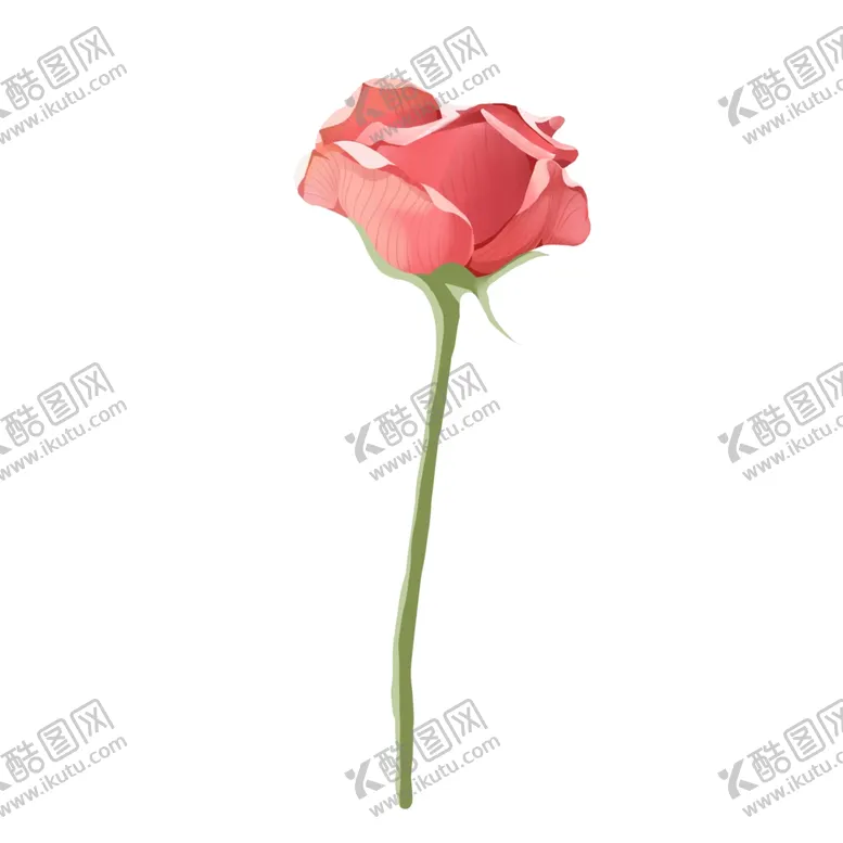 编号：80744402131514284334【酷图网】源文件下载-玫瑰花图片