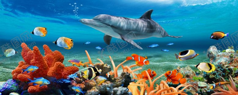 编号：24702609150713554521【酷图网】源文件下载-海底世界