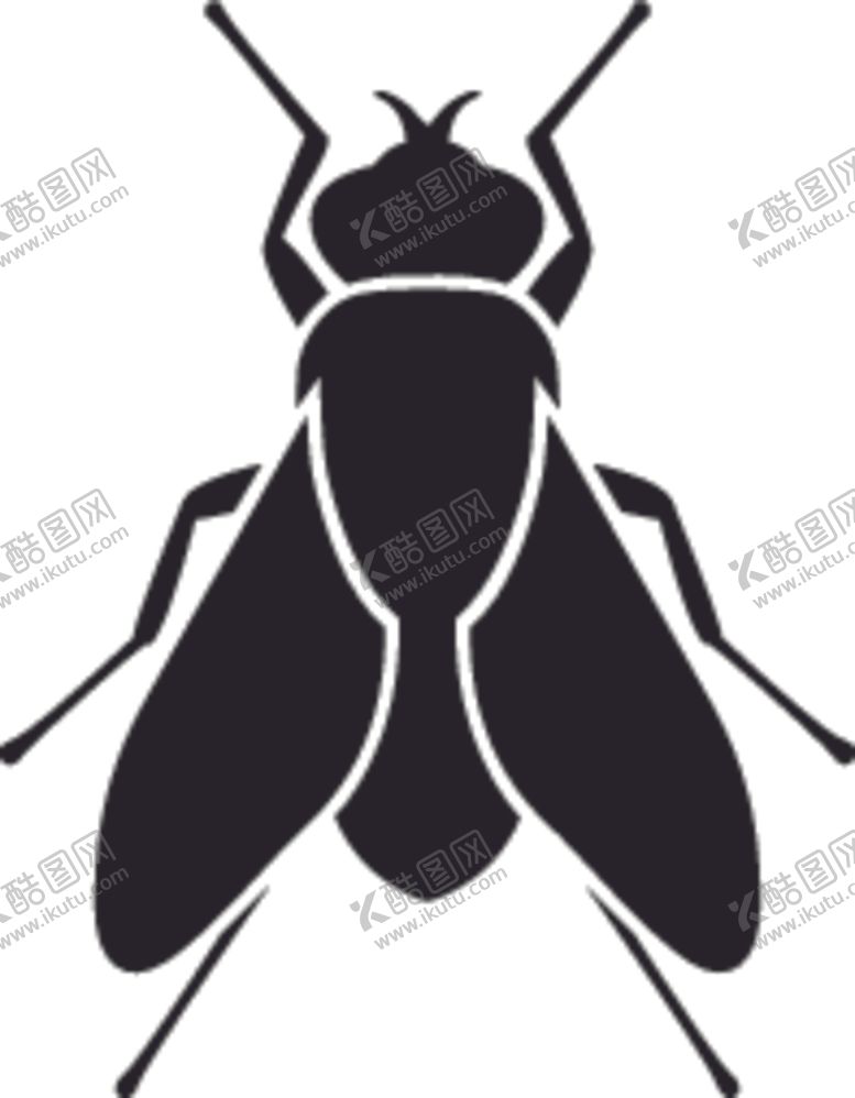 编号：36908907032101313176【酷图网】源文件下载-昆虫系列苍蝇