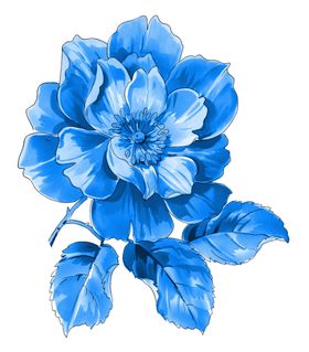 青花瓷素材