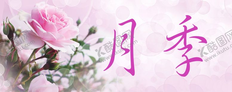 编号：35437001251950215983【酷图网】源文件下载-月季花门牌