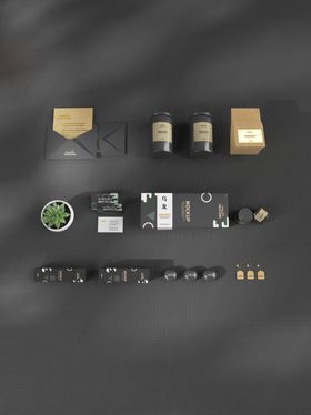 茶叶包装vi样机