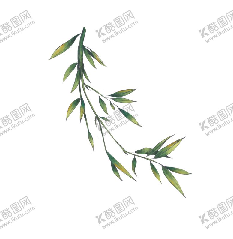 编号：49964106260050404133【酷图网】源文件下载-竹子