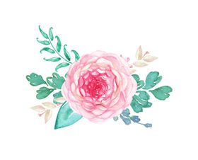 花卉素材
