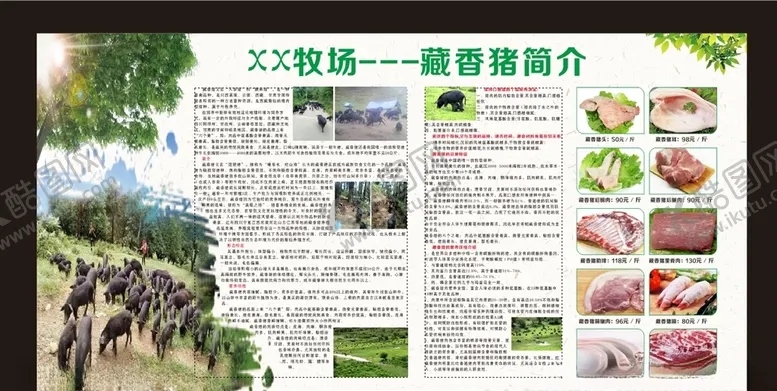 编号：76770405100250393511【酷图网】源文件下载-藏香猪牧场