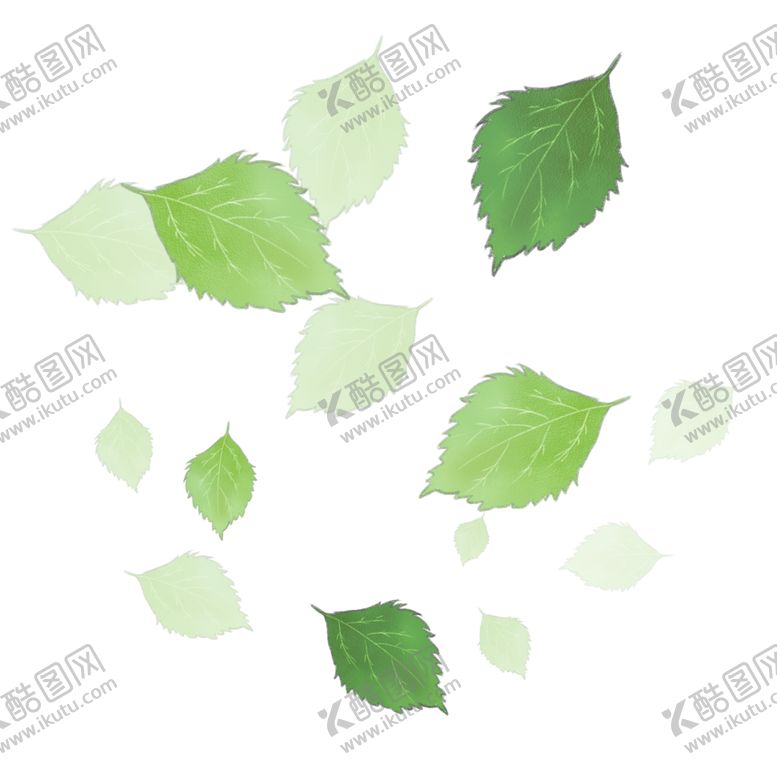 编号：26940710270531391946【酷图网】源文件下载-薄荷植物元素
