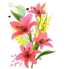 鲜花素材康乃馨小清新朵朵