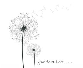 蒲公英矢量