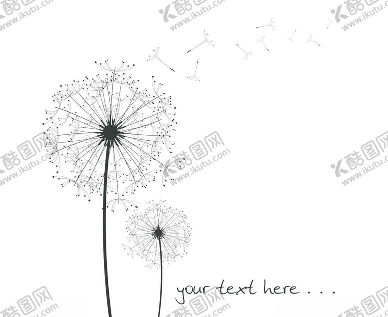 编号：16149211011719018643【酷图网】源文件下载-蒲公英矢量