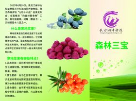 蓝靛果三折页