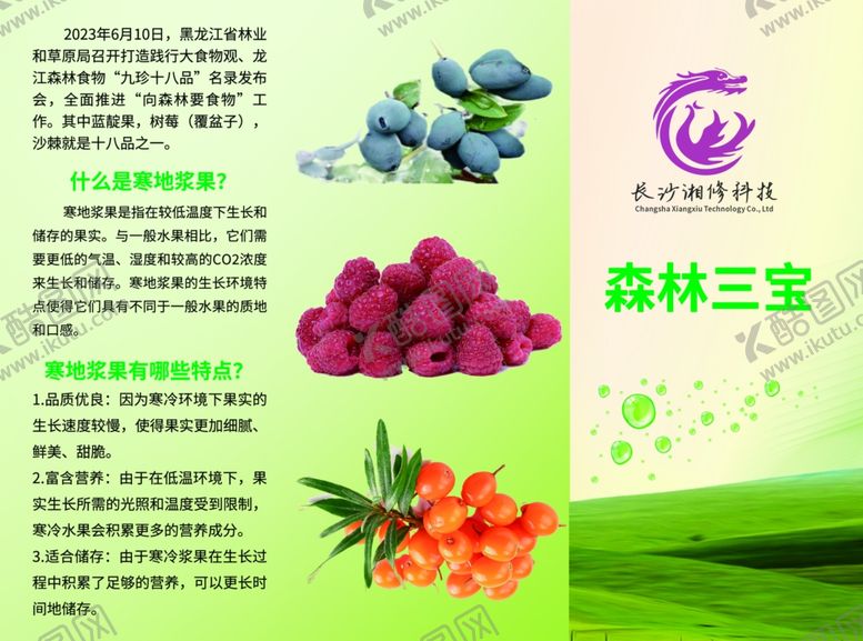 编号：14888906181911026334【酷图网】源文件下载-蓝靛果三折页