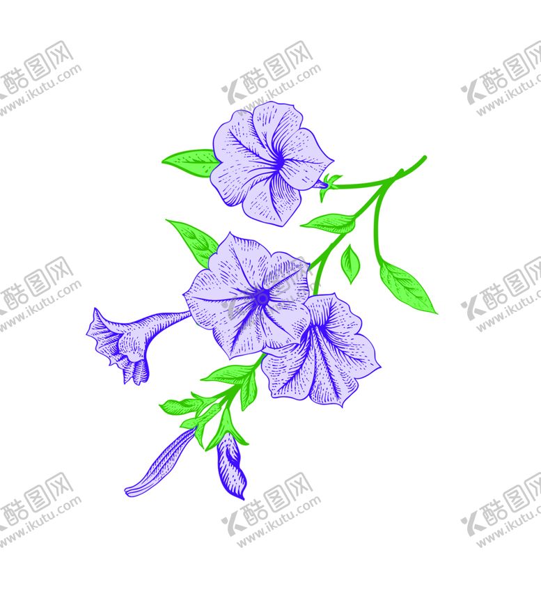 编号：72228106170324092061【酷图网】源文件下载-花素材