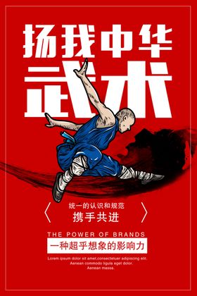 扬我中华武术宣传海报