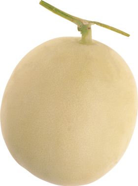 哈密瓜