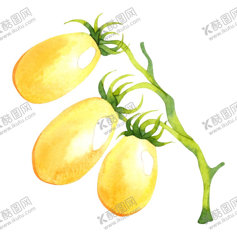 编号：57436609100045381014【酷图网】源文件下载-水彩创意插画水果