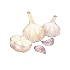 手绘彩色蔬菜免扣素材图片插画卡通水果美食