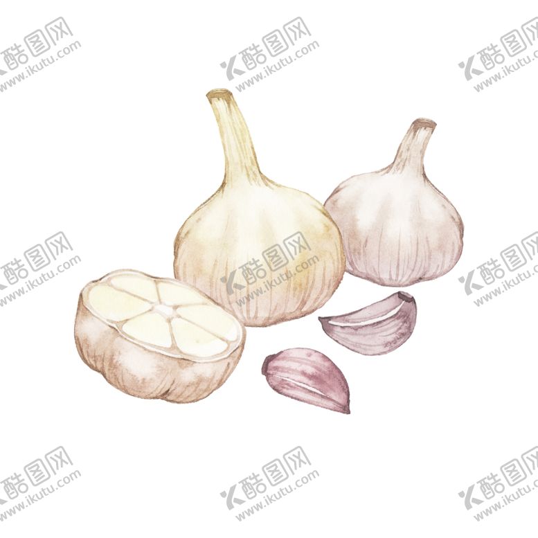 编号：79700304212202328860【酷图网】源文件下载-手绘彩色蔬菜免扣素材图片