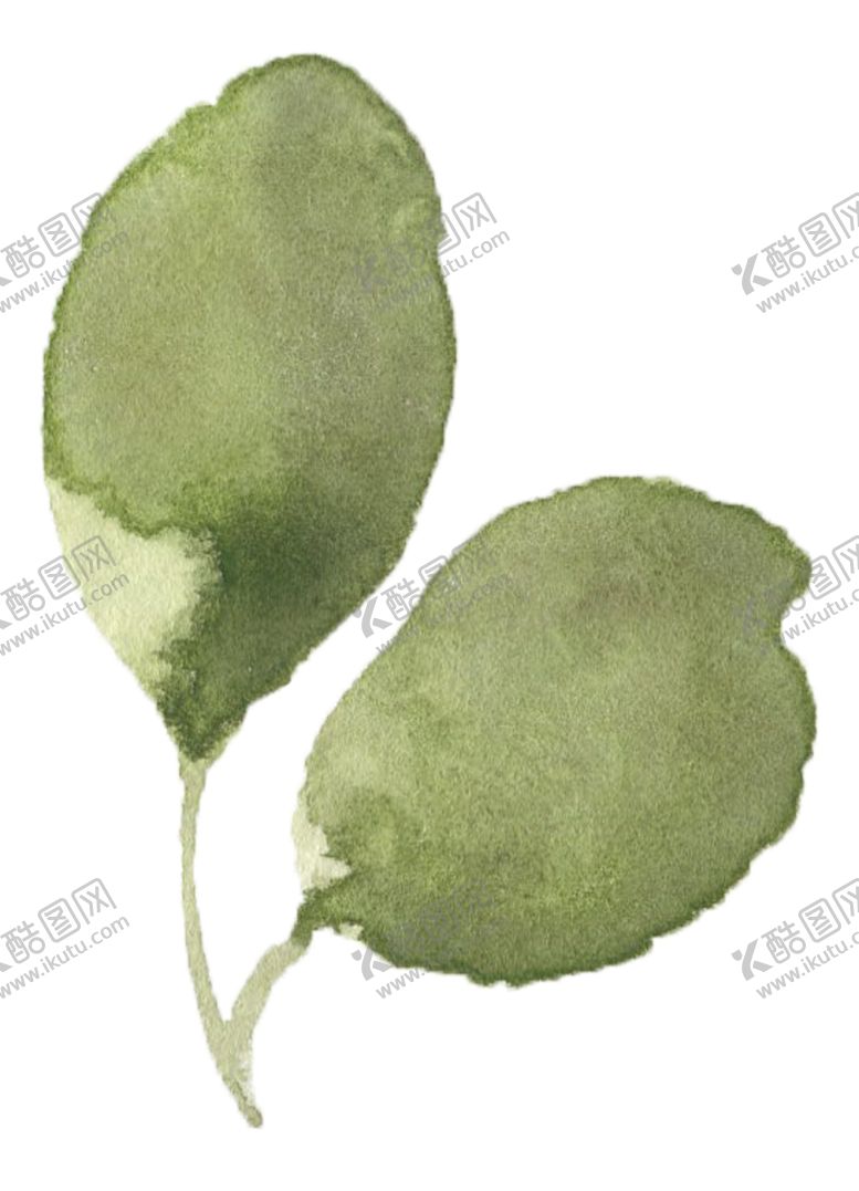 编号：82490905142019039756【酷图网】源文件下载-手绘植物花卉