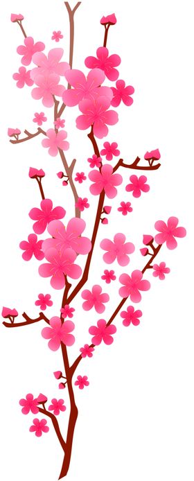 花素材百合鲜朵康乃馨