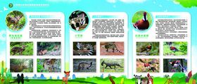 野生动物保护知识宣传展板