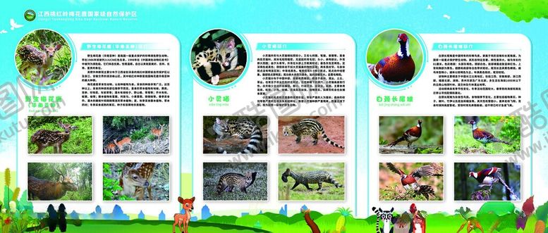 编号：21198506111657397102【酷图网】源文件下载-野生动物保护知识宣传展板