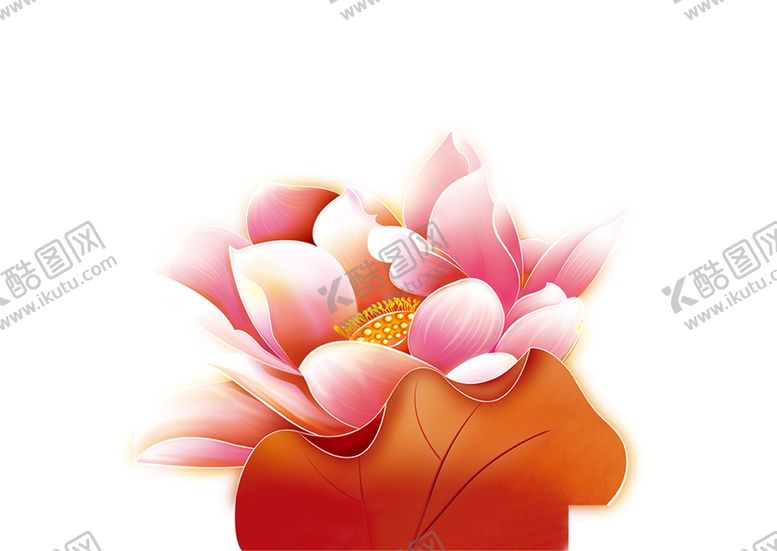 编号：62876605150600034900【酷图网】源文件下载-红色粉红色的荷花黄色的花蕊吉祥