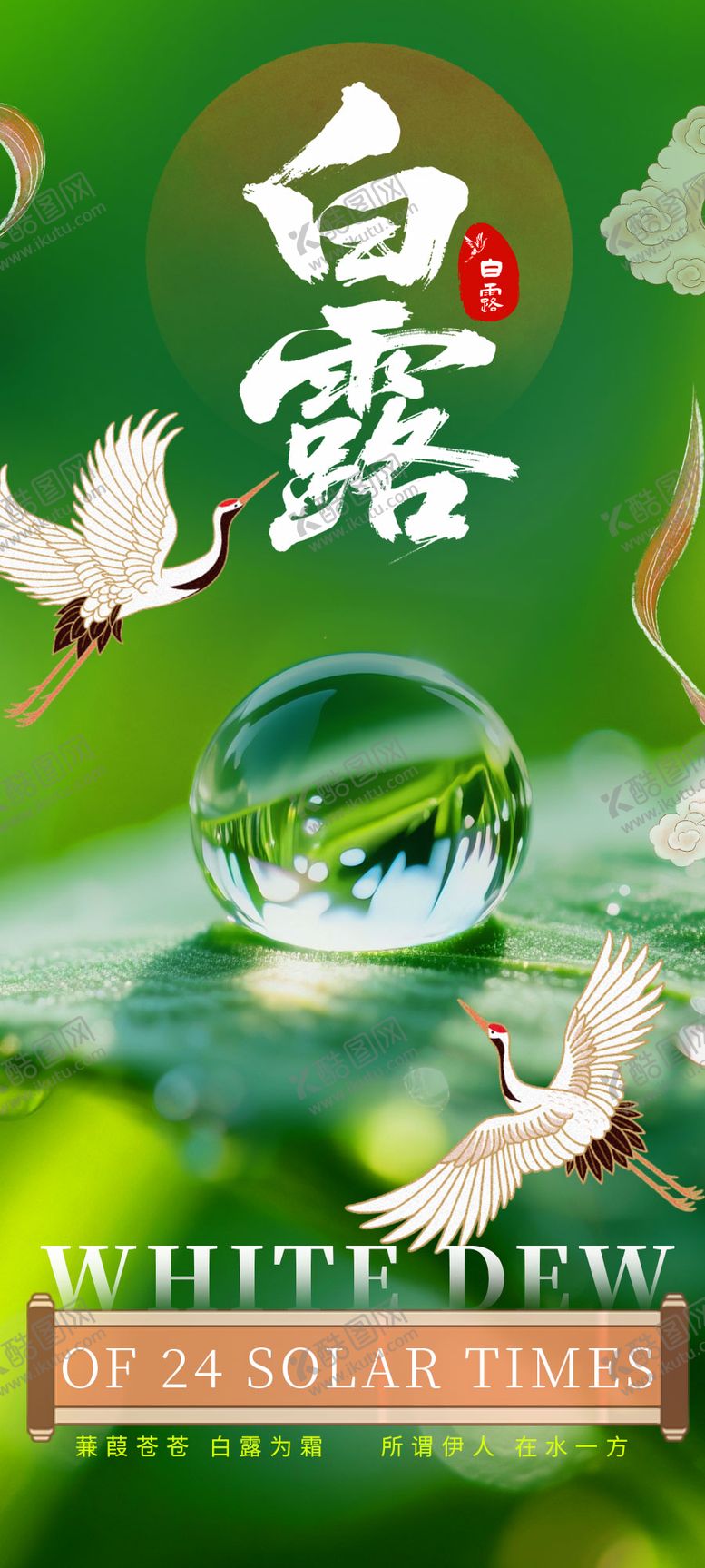 编号：81531010060419414856【酷图网】源文件下载-白露海报