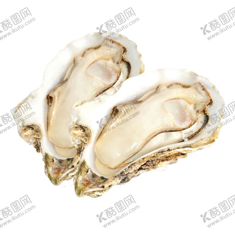 编号：72778805090729092309【酷图网】源文件下载-海鲜海报