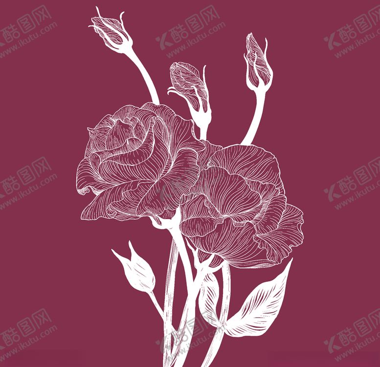 编号：29681310050613265544【酷图网】源文件下载-玫瑰花