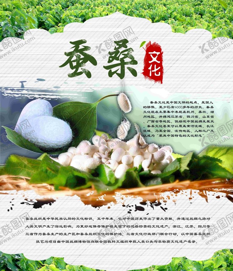 编号：37919610170346164007【酷图网】源文件下载-桑蚕养殖展板图片