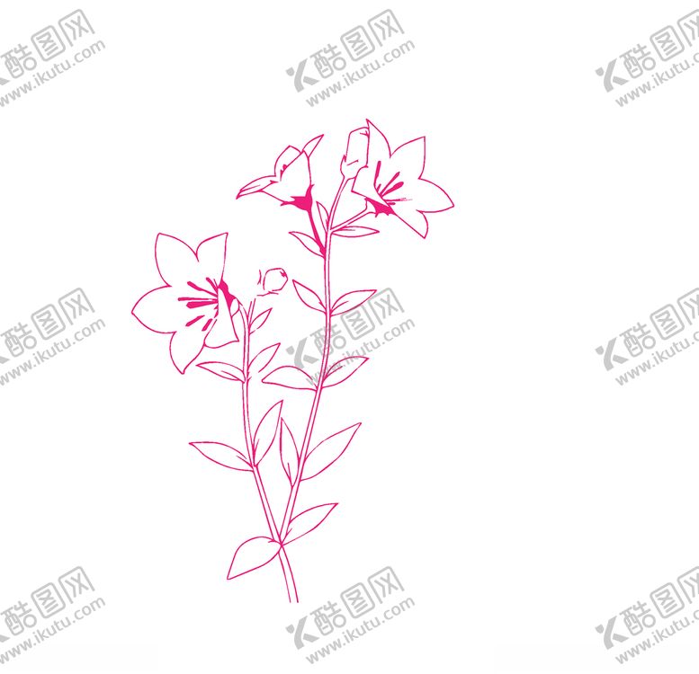 编号：39050106280341411328【酷图网】源文件下载-矢量牵牛花线图