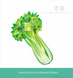 蔬菜主题矢量