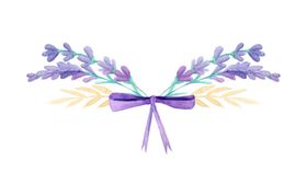 花边花纹
