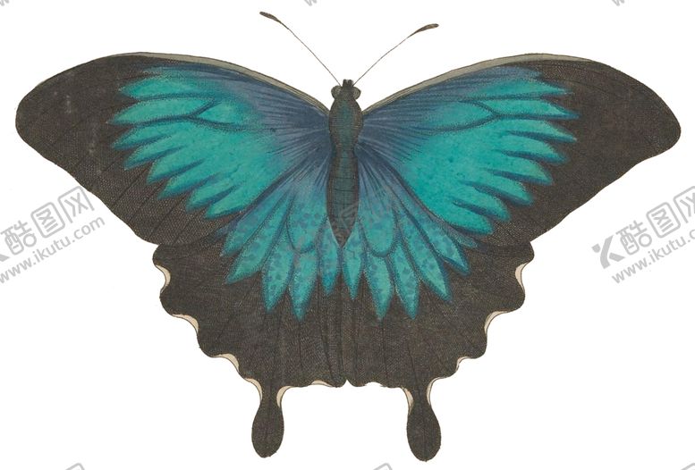 编号：35266209202336106614【酷图网】源文件下载-蝴蝶