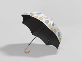 雨伞