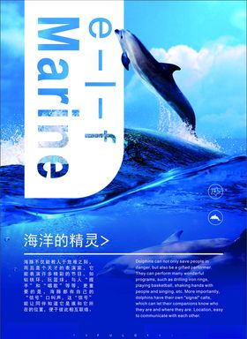 海豚简介海报