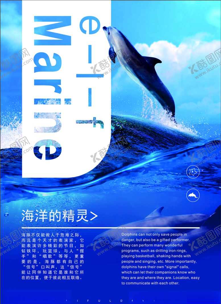 编号：45963907052100198739【酷图网】源文件下载-海豚海报