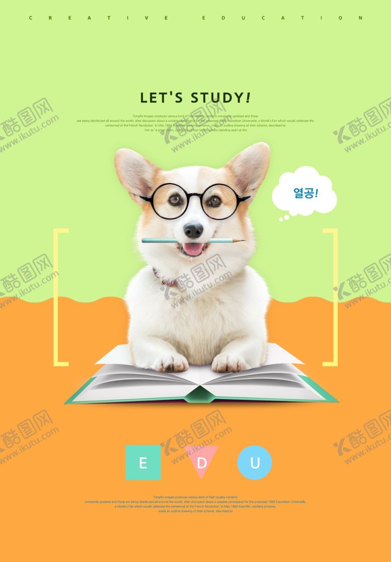 编号：33647410261220354428【酷图网】源文件下载-动物海报